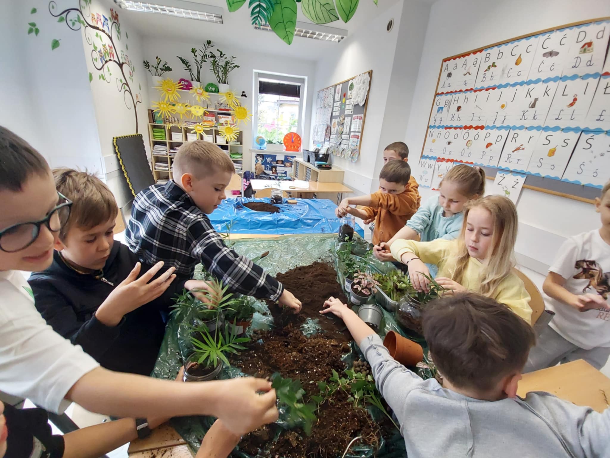 Dżungla amazońska w słoiku klasa 1