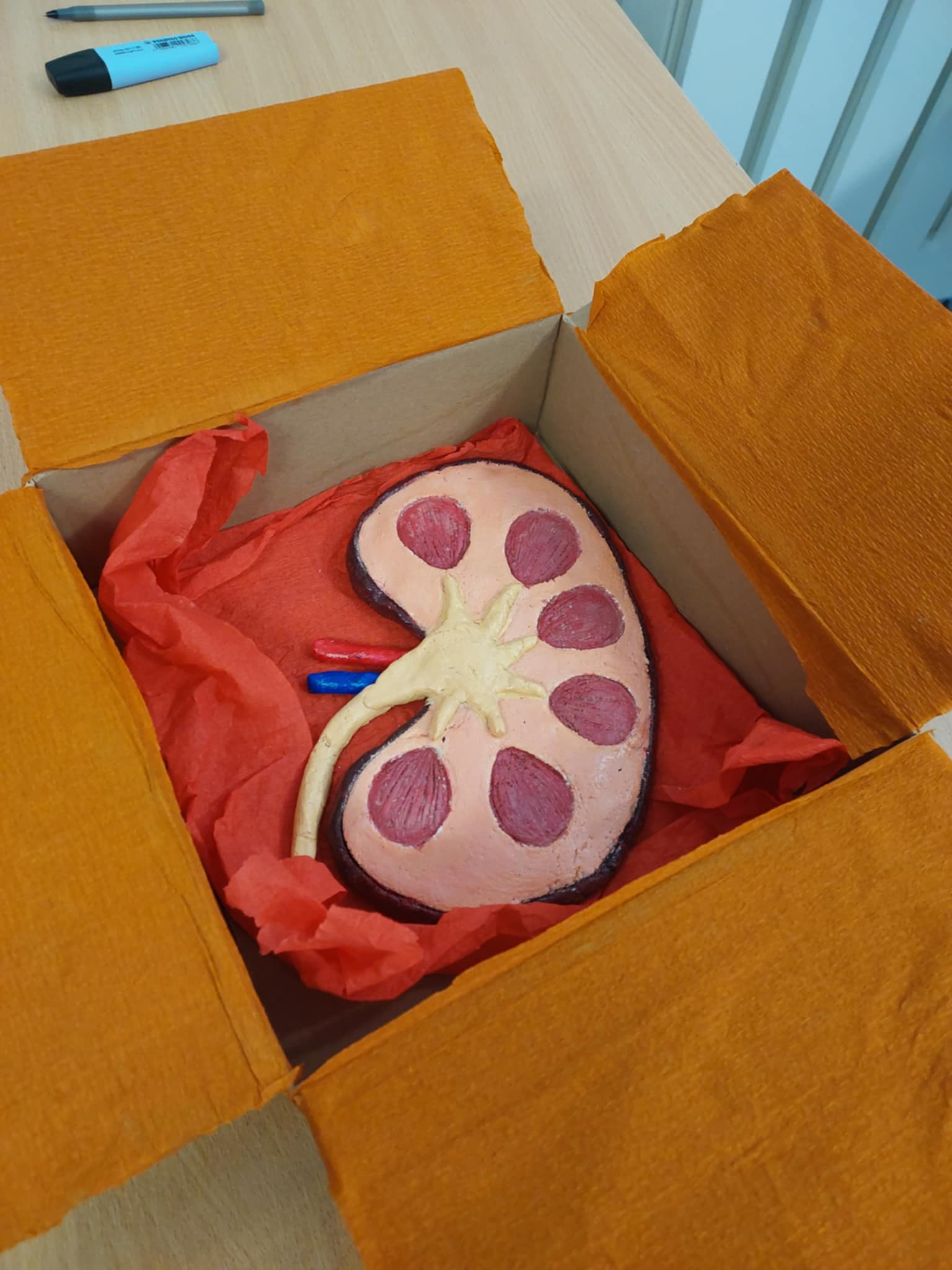 Niby układ WYDALNICZY, a dobrze WCHŁONIĘTA wiedza 😉 klasa 7