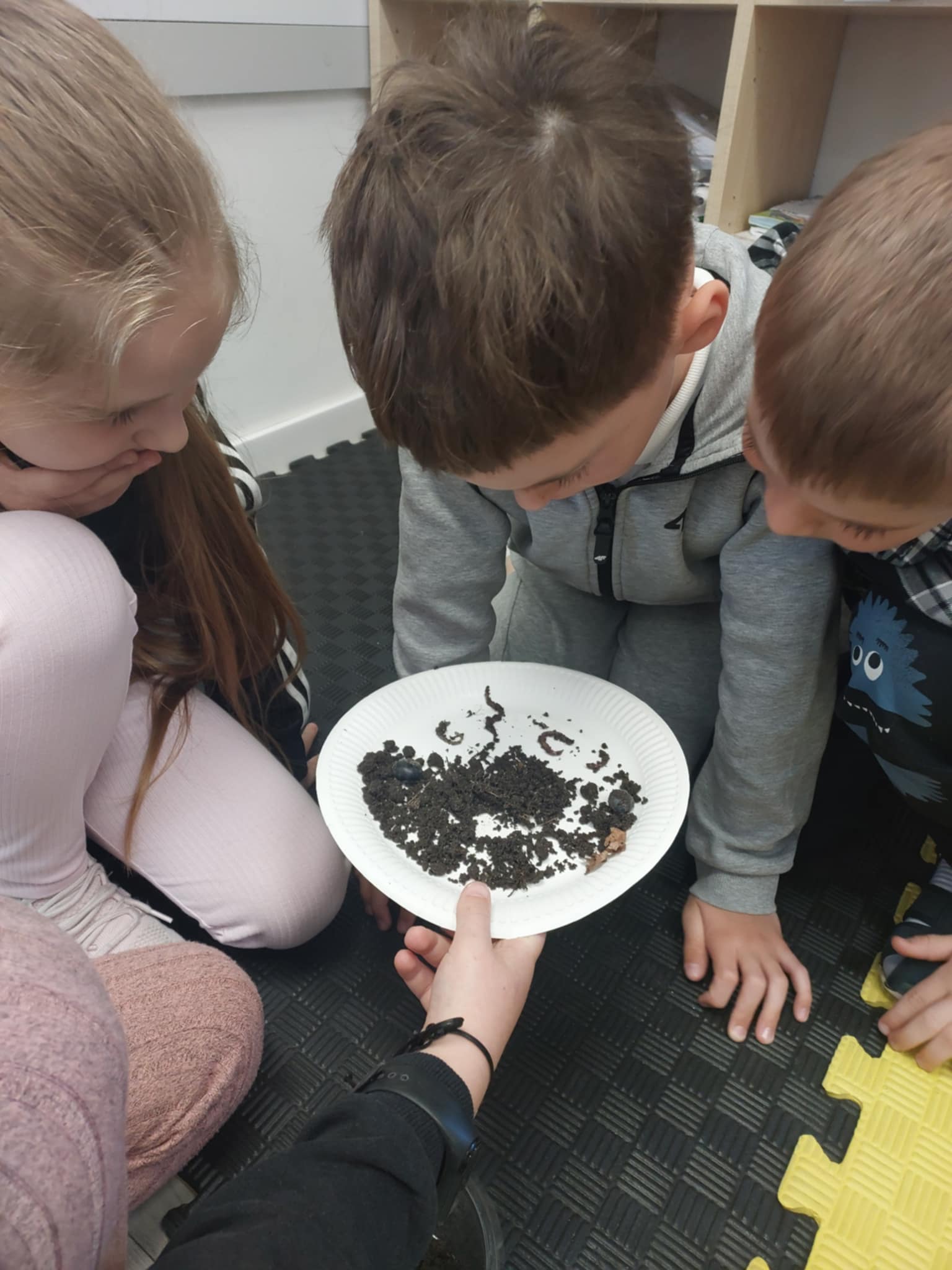 W dżdżu dżdżownica oraz dżem, z tych wyrazów jeden zjem