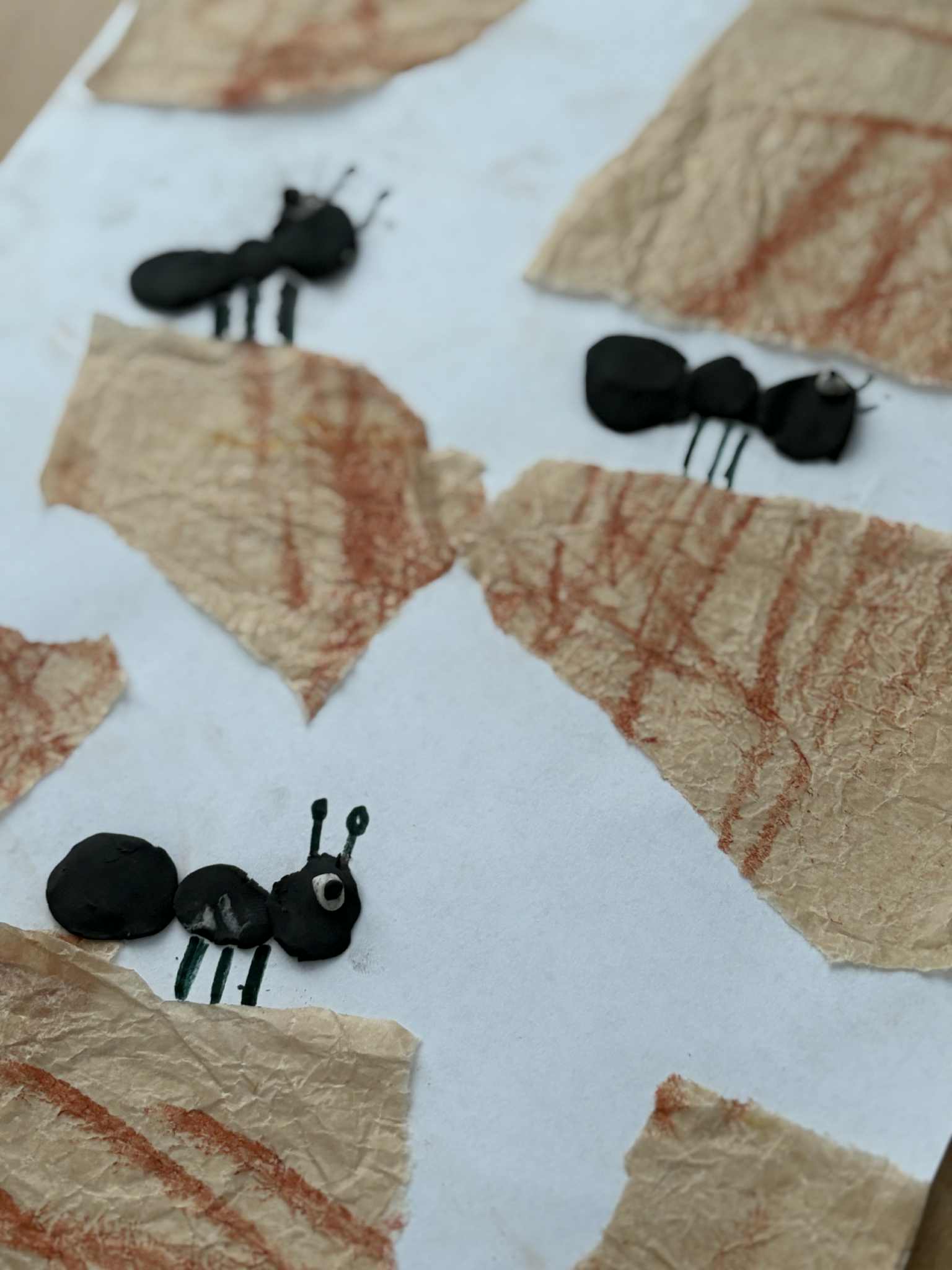 Świat mrówek- projekt klasy IIIA